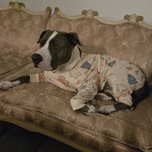 Spark Paws 4XL Cozy Cream Dog Pajamas with Festive Print